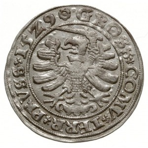 grosz 1529, Toruń; końcówki napisu PRVSS / PRVSS, miecz...