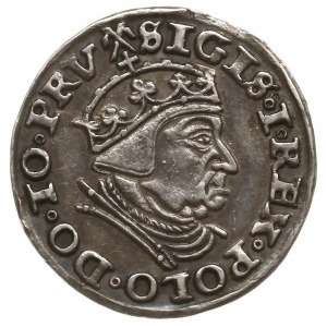 trojak 1539, Gdańsk; końcówka napisu na awersie PRV, na...