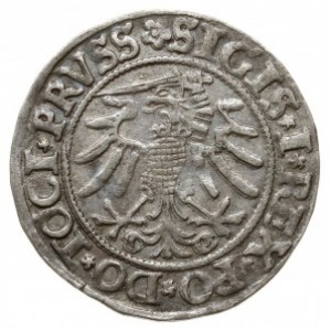 grosz 1533, Elbląg; na awersie końcówka napisu ... PRVS...