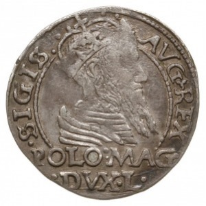 grosz na stopę polską 1566, Tykocin; odmiana z herbem K...