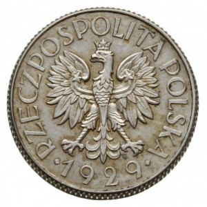 1 złoty 1929, Warszawa; nominał w liściastym ornamencie...