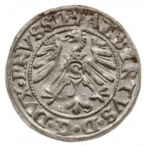 szeląg 1550, Królewiec; Slg. Marienburg. 1208, Voss. 14...