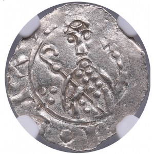 Netherlands, Utrecht AR Denar - Willem Van Pont (1054-1076) - NGC MS 62