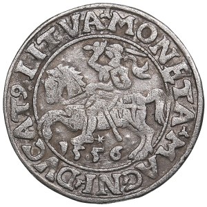 Poland-Lithuania 1/2 grosz 1556 - Sigismund II Augustus (1545-1572)