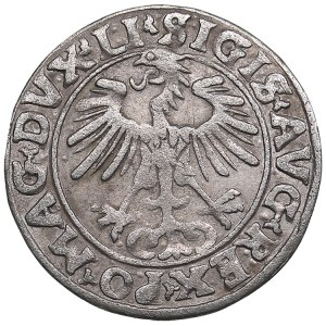 Poland-Lithuania 1/2 grosz 1556 - Sigismund II Augustus (1545-1572)