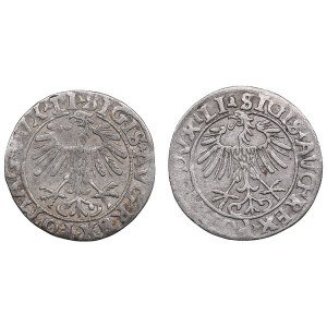 Poland-Lithuania 1/2 grosz 1556, 1557 - Sigismund II Augustus (1545-1572) (2)