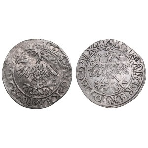 Poland-Lithuania 1/2 grosz 1558 - Sigismund II Augustus (1545-1572) (2)