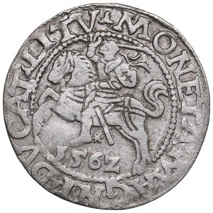 Poland-Lithuania 1/2 grosz 1562 - Sigismund II Augustus (1545-1572)
