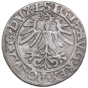Poland-Lithuania 1/2 grosz 1562 - Sigismund II Augustus (1545-1572)