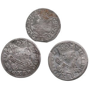 Lot of coins: Poland-Lithuania (3)