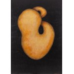 Maja Abgarowicz (ur. 1988, Warszawa), ORB 1, 2017