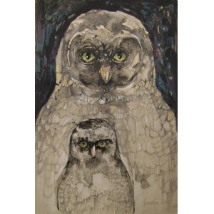 Mariusz Konczalski, Owls