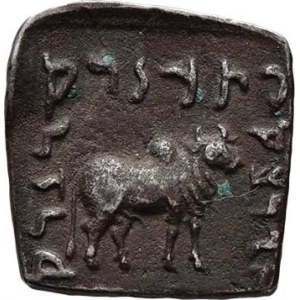 Baktrie, Apollodotos I., 175 - 165 př.Kr., AR Drachma - lehká afghánská klipa, slon zprava,