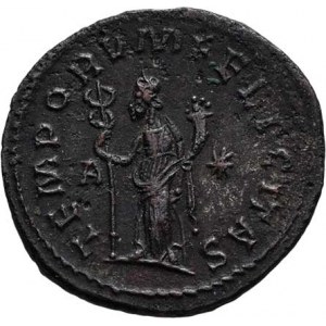 Tacitus, 275 - 276, AE Antoninianus, Rv:TEMPORVM.FELICITAS., stojící