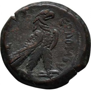 Domitianus, Egypt, Alexandria, AE Diobol (25mm), Rv: sedící orel, opis, rok 9 opisem