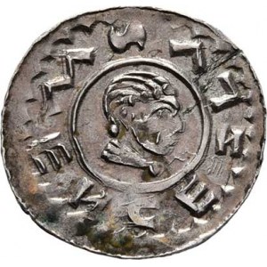 Vratislav II., knížetem v Čechách 1061 - 1086, Denár, Ca.353b, F.IX/7 (901v) - hladké kruhy po obou