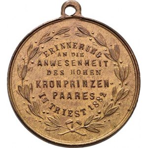 Arcivévoda Rudolf a Stephanie Belgická, Christlbauer - medailka na návštěvu v Terstu 1882 -