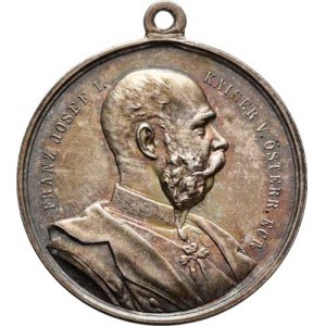 Rakousko - Uhersko, František Josef I., 1848 - 1916, Neoficiál.pam.medaile 1866 / 1891 - na paměť p