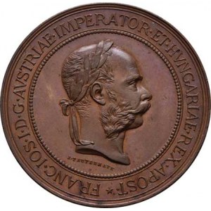 Praha - medaile Zemské jubilejní výstavy 1891, Tautenhayn - Státní cena ministerstva orby 1891 -