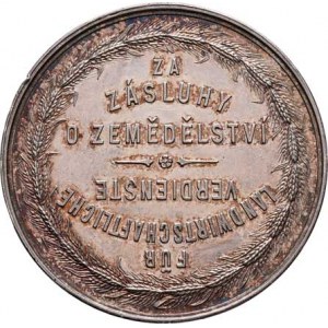 Praha - medaile Zemské jubilejní výstavy 1891, Šmakal - Zemědělská rada pro Království české b.l. -