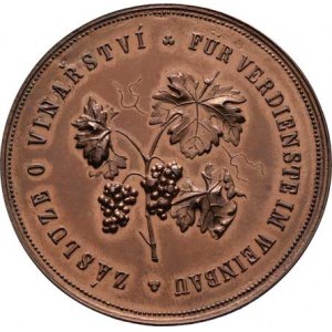 Praha - medaile Zemské jubilejní výstavy 1891, Spolek vinařský pro Království české b.l. - stojící