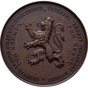 Praha - medaile Zemské jubilejní výstavy 1891, Kříž - Ústřední zemský spolek včelařský b.l. - český