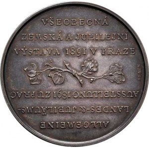 Praha - medaile Zemské jubilejní výstavy 1891, Braun - stříbrná medaile pro vystavovatele - český