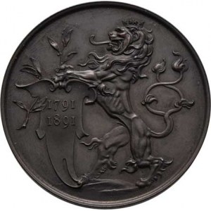 Praha - medaile Zemské jubilejní výstavy 1891, Braun - bronzová medaile pro vystavovatele - český