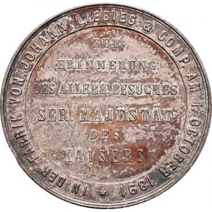 Praha - medaile Zemské jubilejní výstavy 1891, Návštěva císaře Fr.Josefa u Johanna Liebiga - poprsí