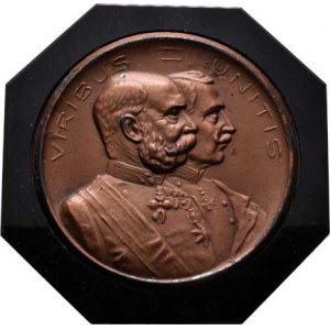 František Josef I., 1848 - 1916, Nesign. - jednostr. medaile na spojenectví s Německem