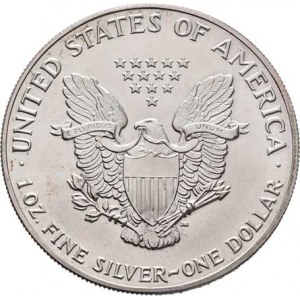 USA, Dolar 1991, KM.273 (Ag999, 1 unce), 31.450g