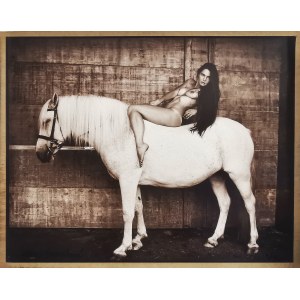 Sara Saudkova (ur.1967), Wild Eyes II