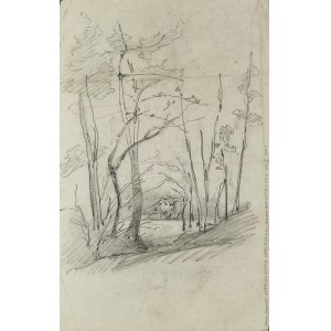 Stanisław WYSPIAŃSKI (1869-1907), Drzewa - rysunek dwustronny