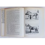 Rozwadowski, 50 years of breeding pure blood Arabian horses in Poland in their genealogical charts : 1918-1968