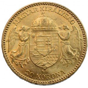 FJI 1848-1916, 20 koruna 1894 KB, vlas škr.