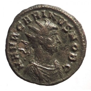 Carinus 282-285, bronz. antoninian, PRINCIPI IVENTVT. Carinus držící ensign. a oštěp. Mc. Ticinum, RIC 177