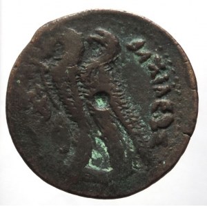 Egypt, PTOLEMAIOS VI. 180-145 př. Kr, bronz 28 mm, Zeus Ammon / Dvojice orlů, roh hojnosti. SG 7900