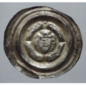 Přemysl Otakar II. 1253-1278, brakteát střední Cach 825, patina, n.ned. 0,844g