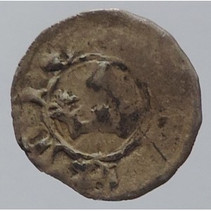 Karel IV. 1346-1378, Česká Falc, fenik würzburského rázu, minc.Lauf, koruna/lev, Nech. 12, nedor., starý podložní štítek