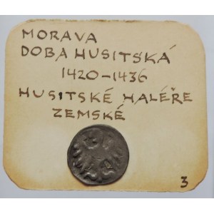 Morava, Albrecht Rakouský 1423-1435, peníz s orlicí kruhový, hladká orlice bez jazyka, Sejbal 139-142 pod., starý podložní štítek, patina