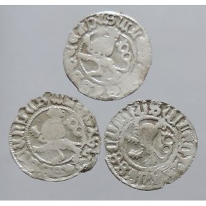 Vladislav II. 1471-1516, bílý peníz jednostranný, WLADISLAVS SECVNDVS, lev. Nech. IV,V, dr.ned. 3ks