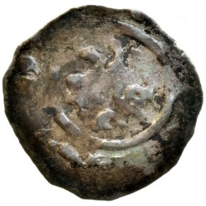 Přemysl Otakar II. 1251-1276, fenik CNA B 159