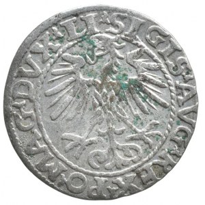 Polsko, Zikmund II. August, 1548 - 1572, půlgroše 1553, Vilnius, LI / LITVA, vzácný ročník