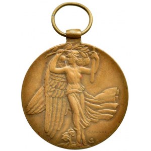 Španiel O. - Mezispojenecká vítězná medaile 1919 za civilizaci, Československo, Sign., 36mm, pův ouško