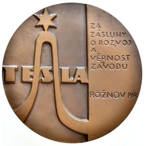 Rožnov pod Radhoštěm, závod TESLA, sign. K.Vašut, 70mm, Br, orig.etue