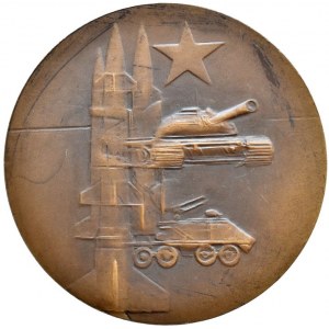 Vsetín - a další města, medaile partyzán, 60mm, Br, orig.etue