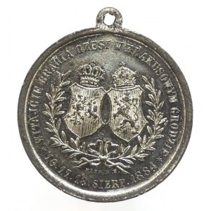 Medailka návštěva Sokolů v Krakově 1884 30 mm