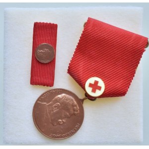 Medaile za darování krve-Prof.MUDr.Jan Jánský, bronzová, orig.etue