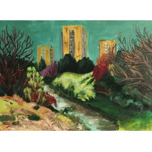 Agnieszka Kluszczyńska, View from above the Białucha River, 2020