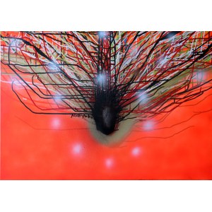 Grzegorz Pleha PLESZYŃSKI, Baobab Tree, 2021.